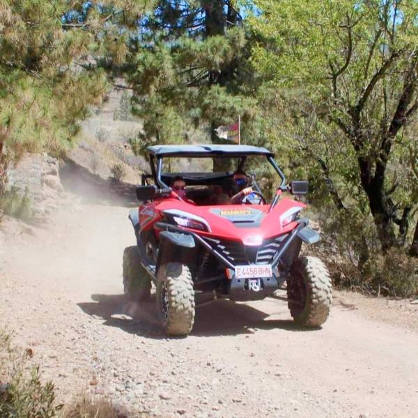 Buggy Tour
