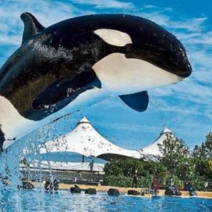 Loro Park