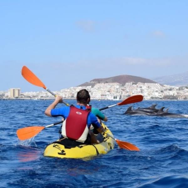 Kayak