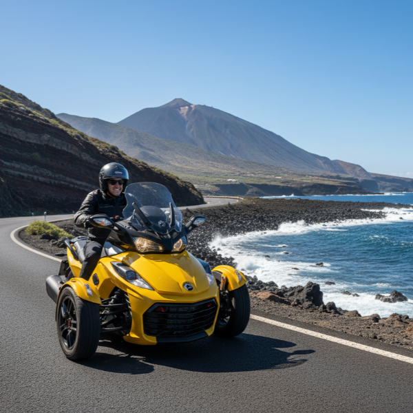 3-Wheel Vehicle