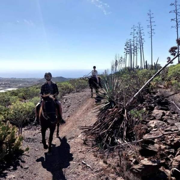 Horseback Riding