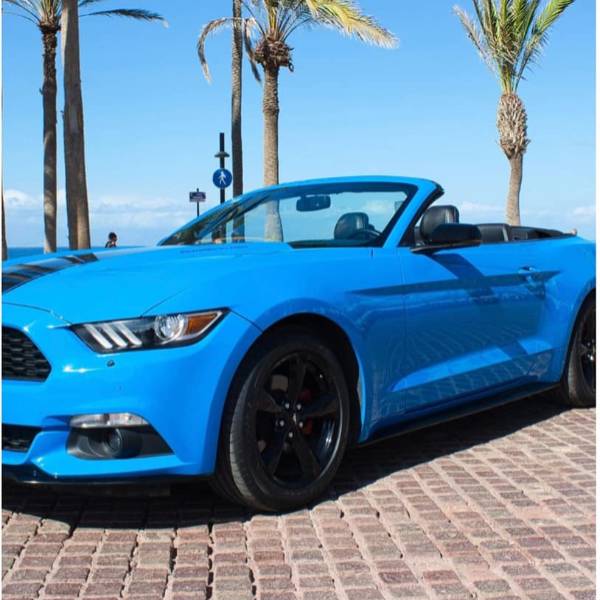 Mustang Ride