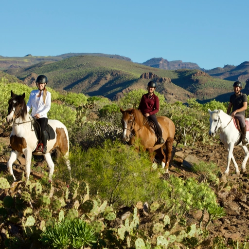 El Salobre Horse Riding